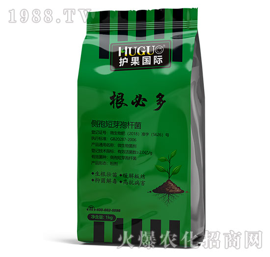 ���ض�-�o(h��)����(gu��)�H