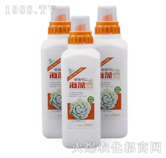 ����ֲ��I�B(y��ng)Һ-���⌣����