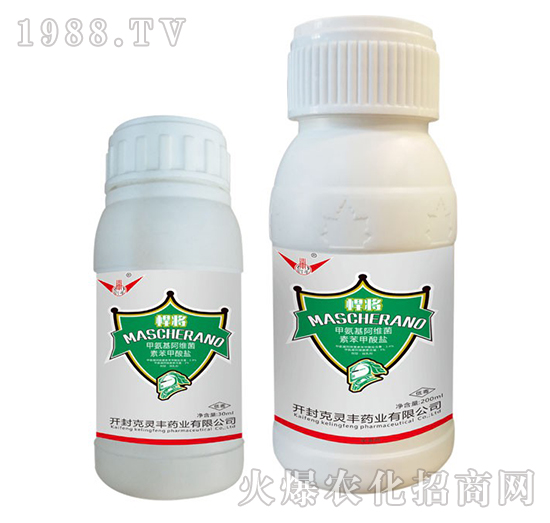 �װ������S���ر������}-����-���`�S