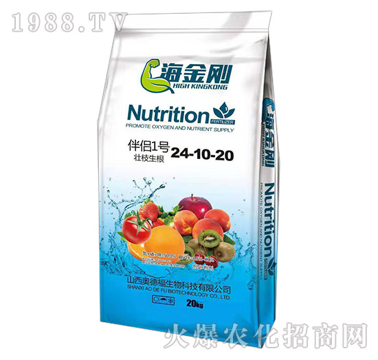 ��H1̖(h��o)24-10-20-������-�¸�����