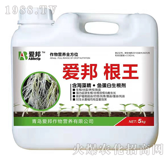 ����-��(��i)��