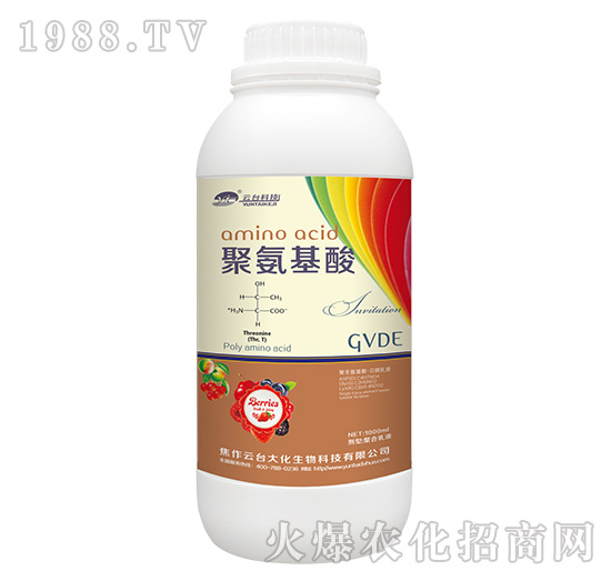 �۰�����-���_��