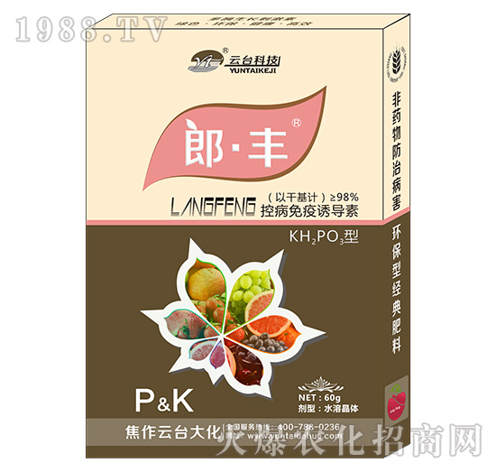 �ɡ��S-���_��