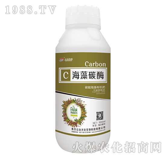 ����̼ø-���_��