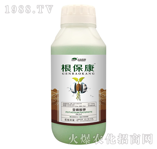 1000g������-���_(t��i)��