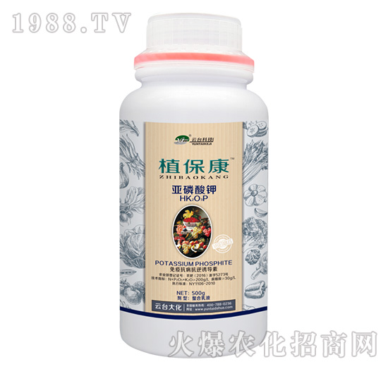 500gֲ����-���_��