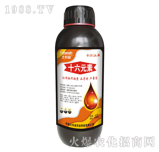 ʮ��Ԫ��-���L��