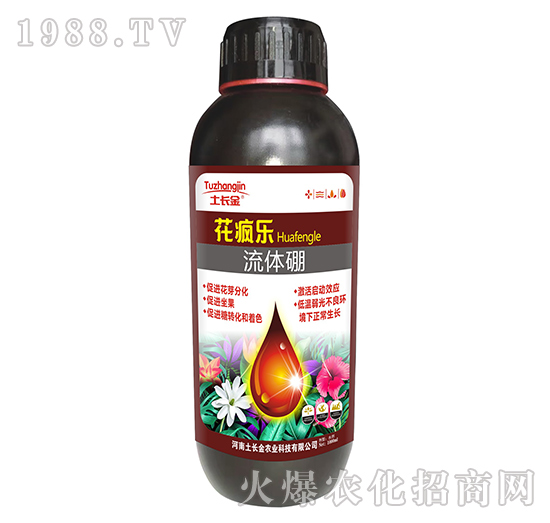 ���w��-������-���L��