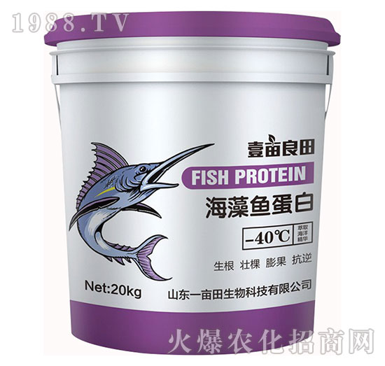 �����~(y��)����-Ҽ������