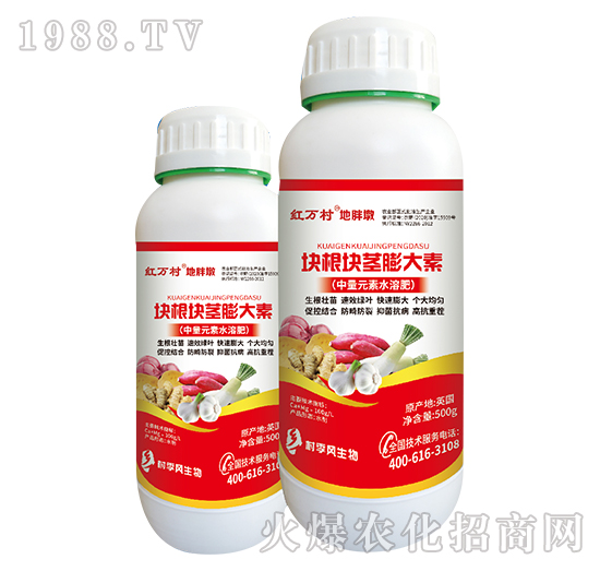 �K���K�o�����-���ֶ�-���˹����r��