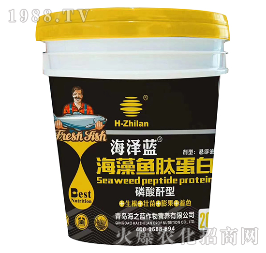 �������ͺ����~(y��)����-�����{(l��n)