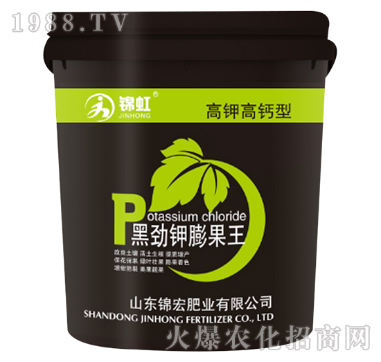 �ڄ�������-�\��-�\��ʘI(y��)