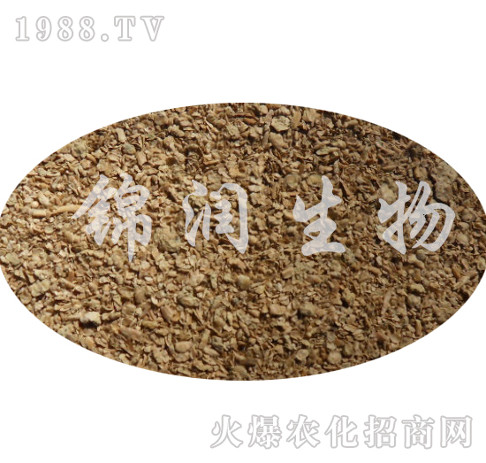 ����ù����-�\������