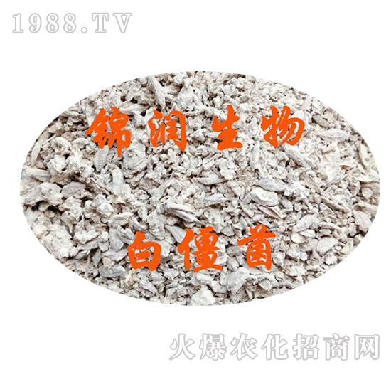 �׽���-�\��(r��n)����