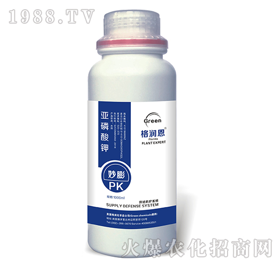 �������-����-�񝙶�