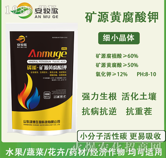 �VԴ�S�����-������-ힲ�����