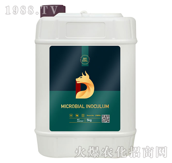 ����-��