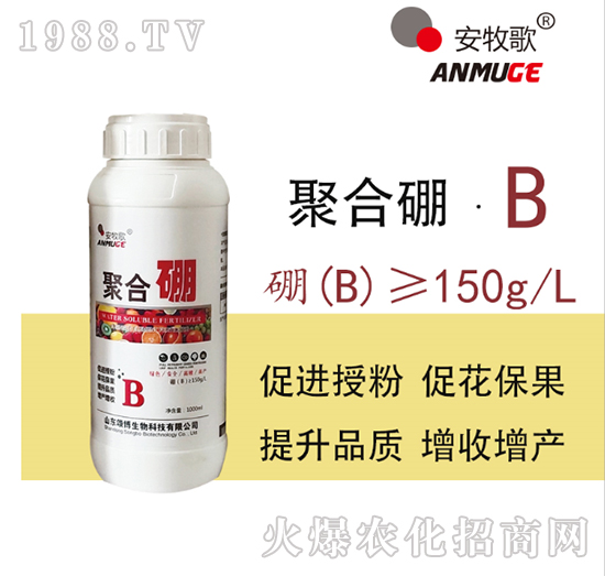 �ۺ���-ힲ�����