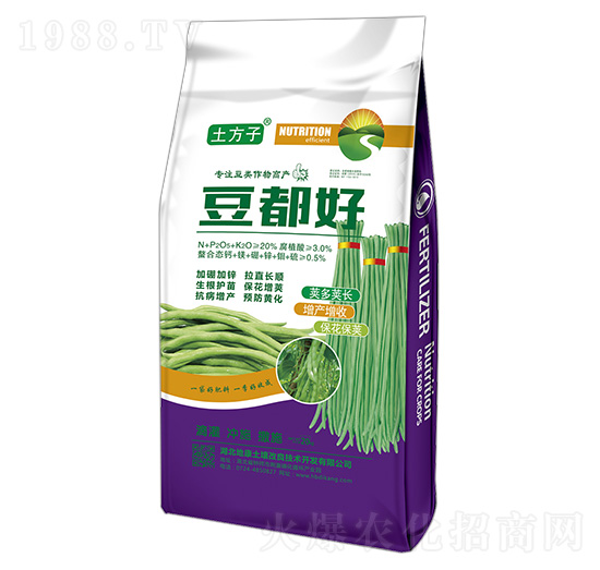 ������-������-�ؿ�