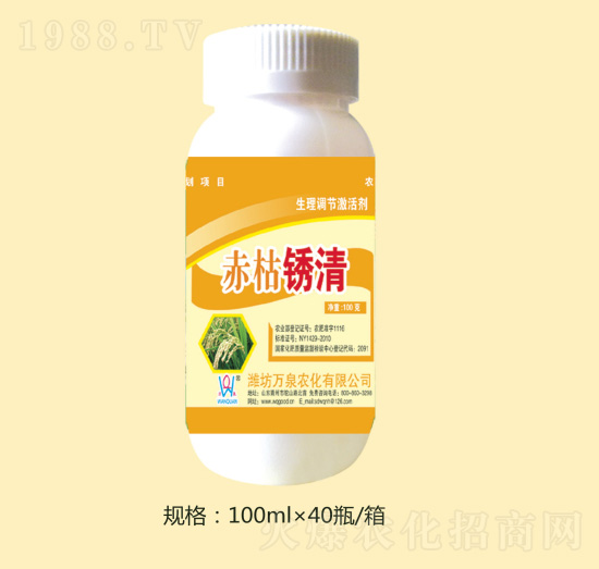 ����P��-�fȪ�r��