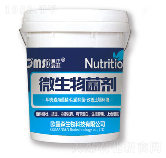 ΢�������-�W��ɭ