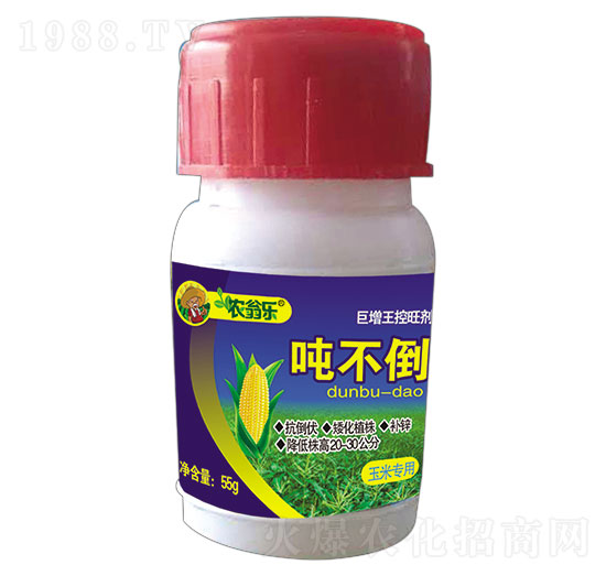 ���׌���-������-�r(n��ng)�̘�