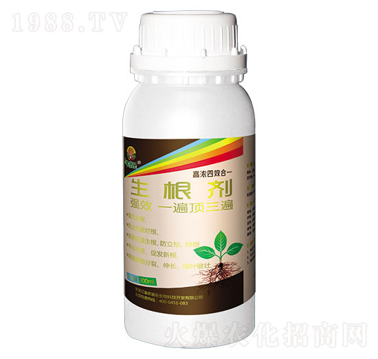 ������-�r�̘�