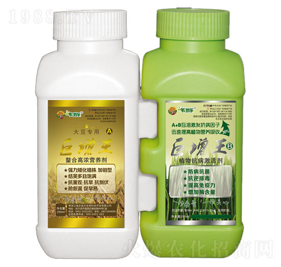 �������󶹌�(zhu��n)��-�r(n��ng)�̘�(l��)