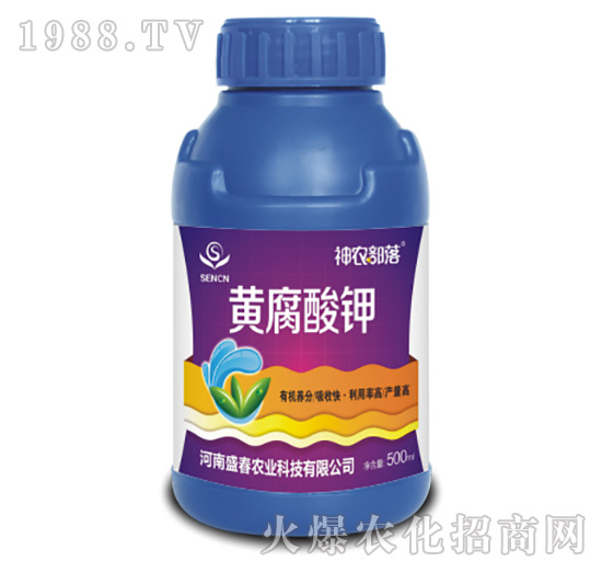 �S�����-���r����-ʢ���r�I(y��)