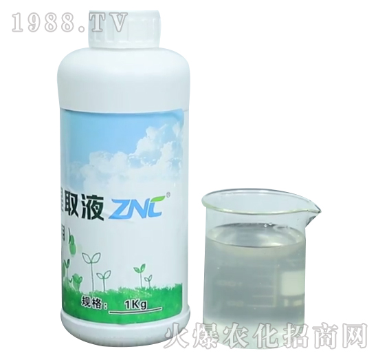 ZNC��N������-�����