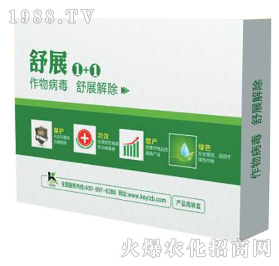 ��չ1+1-����ֲ��