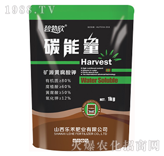 ̼�����S-����