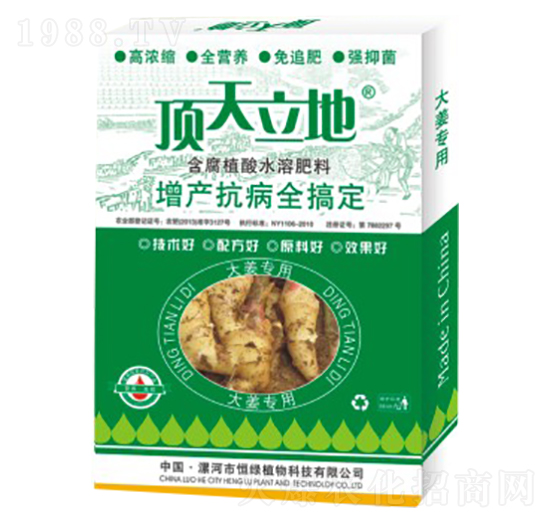 �󽪌��ú���ֲ��ˮ�ܷ���-�������-��Gֲ��