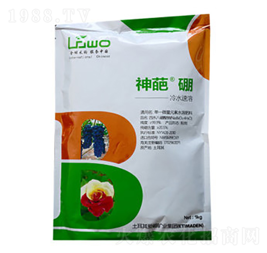 ���⡤��-��������