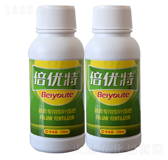 �߲ˌ����~����-����(y��u)��-���