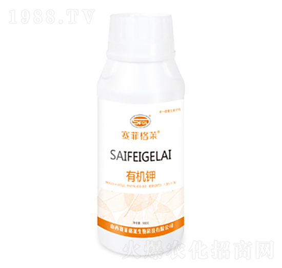 �ЙC�-ِ�Ƹ��R