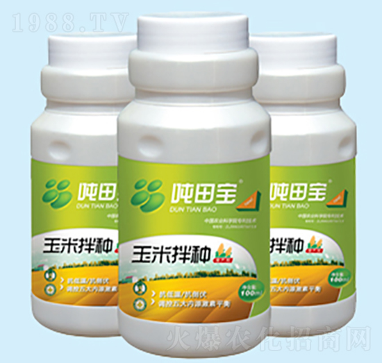 ���װ�N��(zhu��n)����-���-�����S��