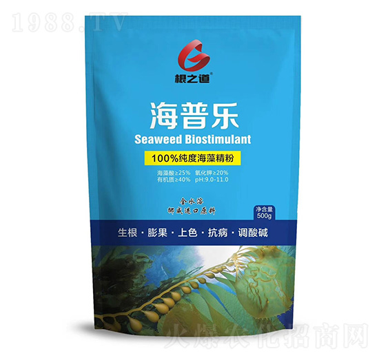 ���՘�(l��)-��֮��