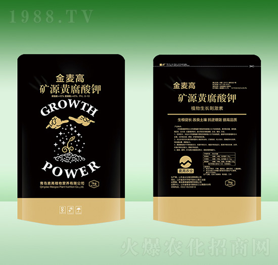 �VԴ�S�����-������-���u����