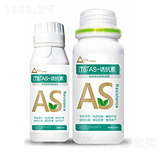 T8��AS-�T����-�����Ƽ�