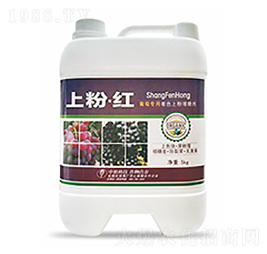 �Ϸۡ��t-��ԣ�Ƽ�