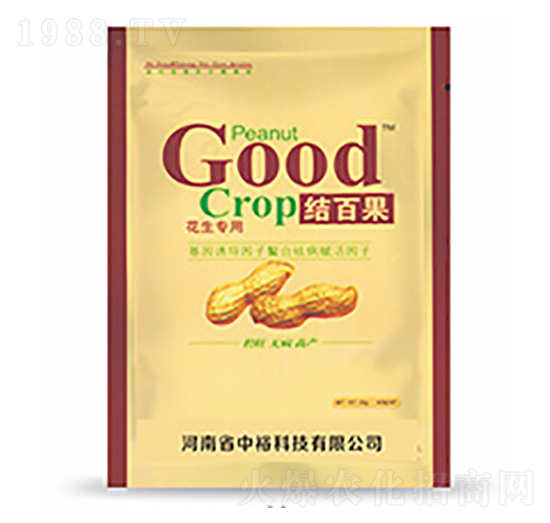 結百果-中?？萍? style=