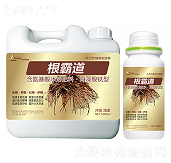 根霸道-中裕科技