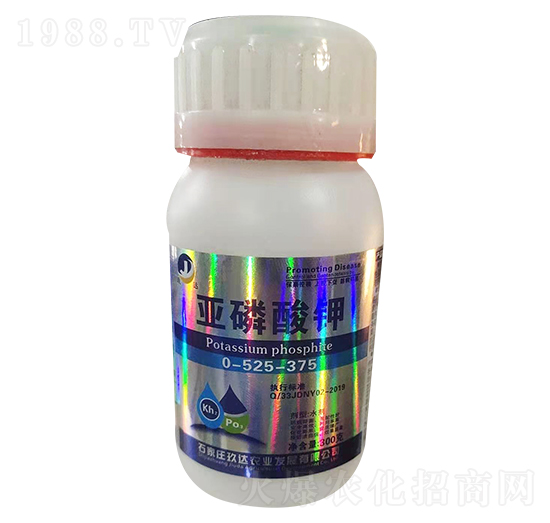 �������0-525-375-���_(d��)