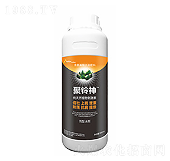 聚鈴神-中?？萍? style=