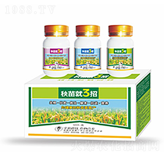 秧苗就3招-中?？萍? style=