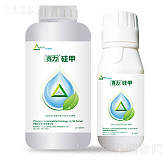 賽力硅甲-中?？萍? style=