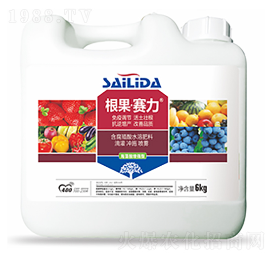 根果賽力-中?？萍? style=