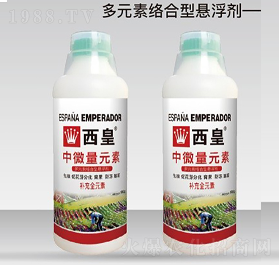 ��΢��Ԫ��-����-����˹�D