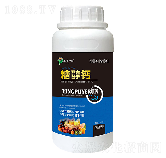 �Ǵ��}-Ӣ���~��